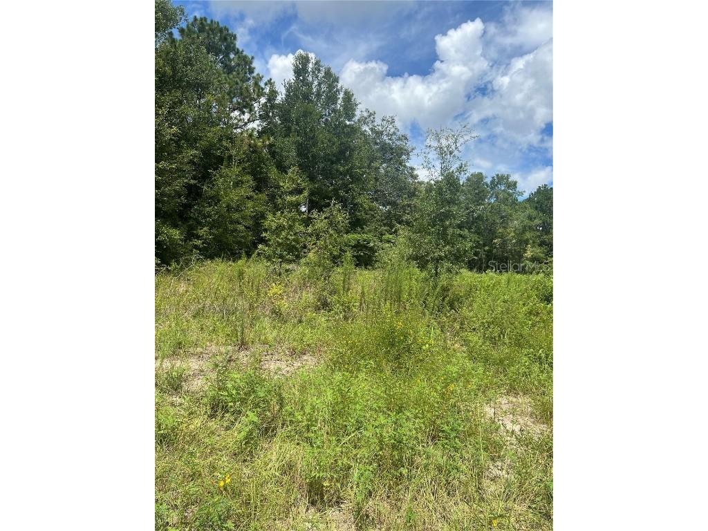 SE 42nd Terrace Summerfield FL 34491 OM707378 image1