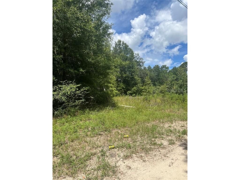 SE 42nd Terrace Summerfield FL 34491 OM707378 image3