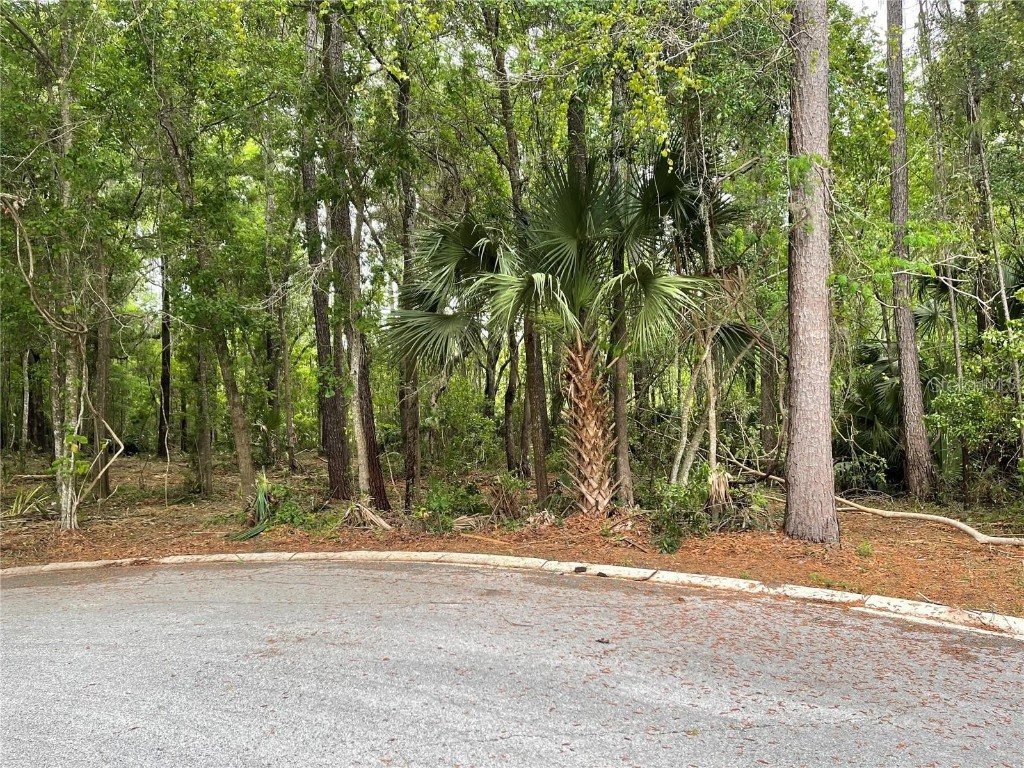 SE 43rd Street Ocala FL 34480 OM695128 image2