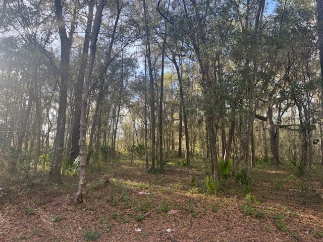 SE 43rd Street Ocala FL 34480 OM720179 image5