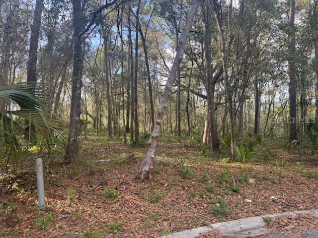 SE 43rd Street Ocala FL 34480 OM720179 image6