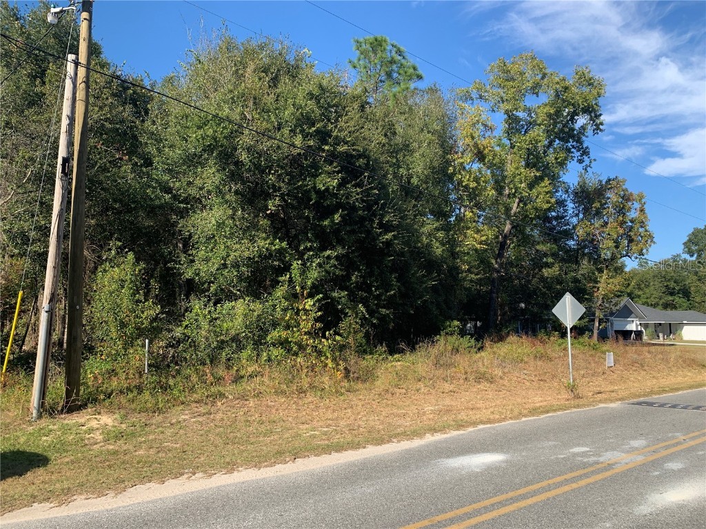 SE 44th Street Keystone Heights FL 32656 O6157734 image1