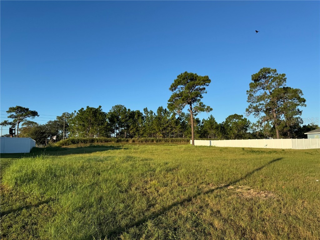 SE 45th Avenue Ocala FL 34480 OM710184 image3