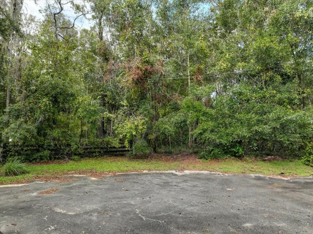 SE 45th Court Trenton FL 32693 - WATERS LAKE O6256785 image1