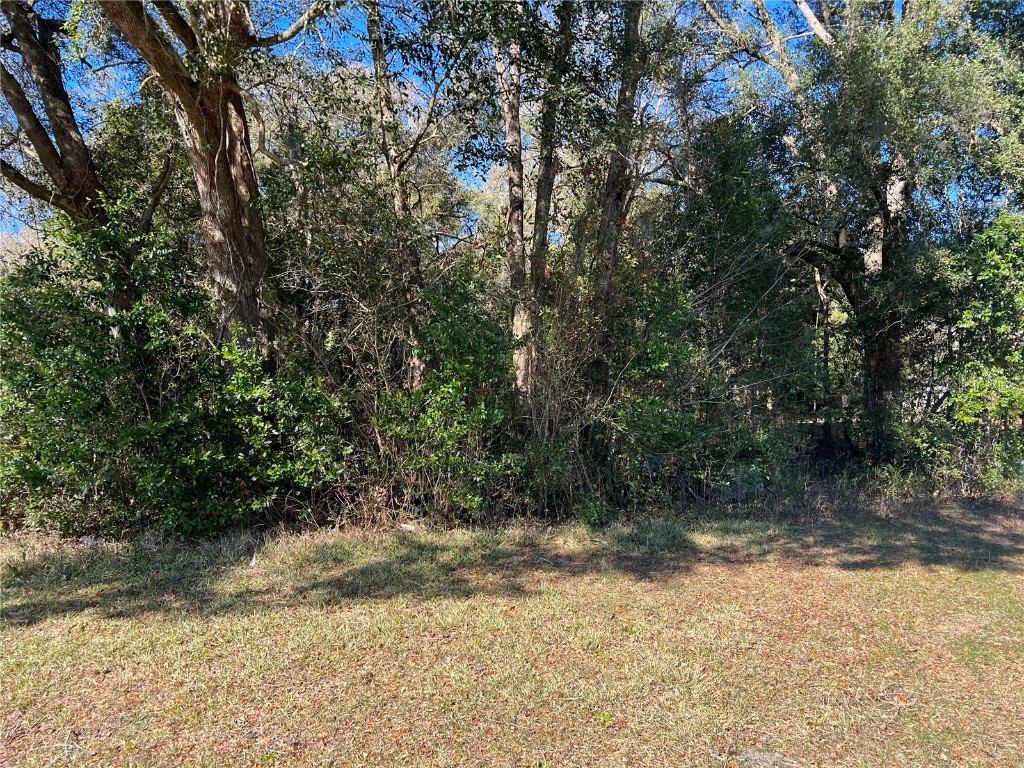 SE 46 Street Gainesville FL 32641 GC510510 image1