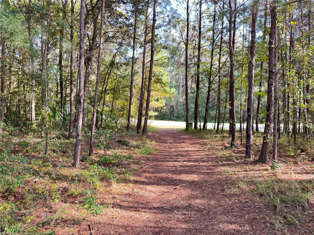 SE 47th Street Ocala FL 34480 OM712117 image2