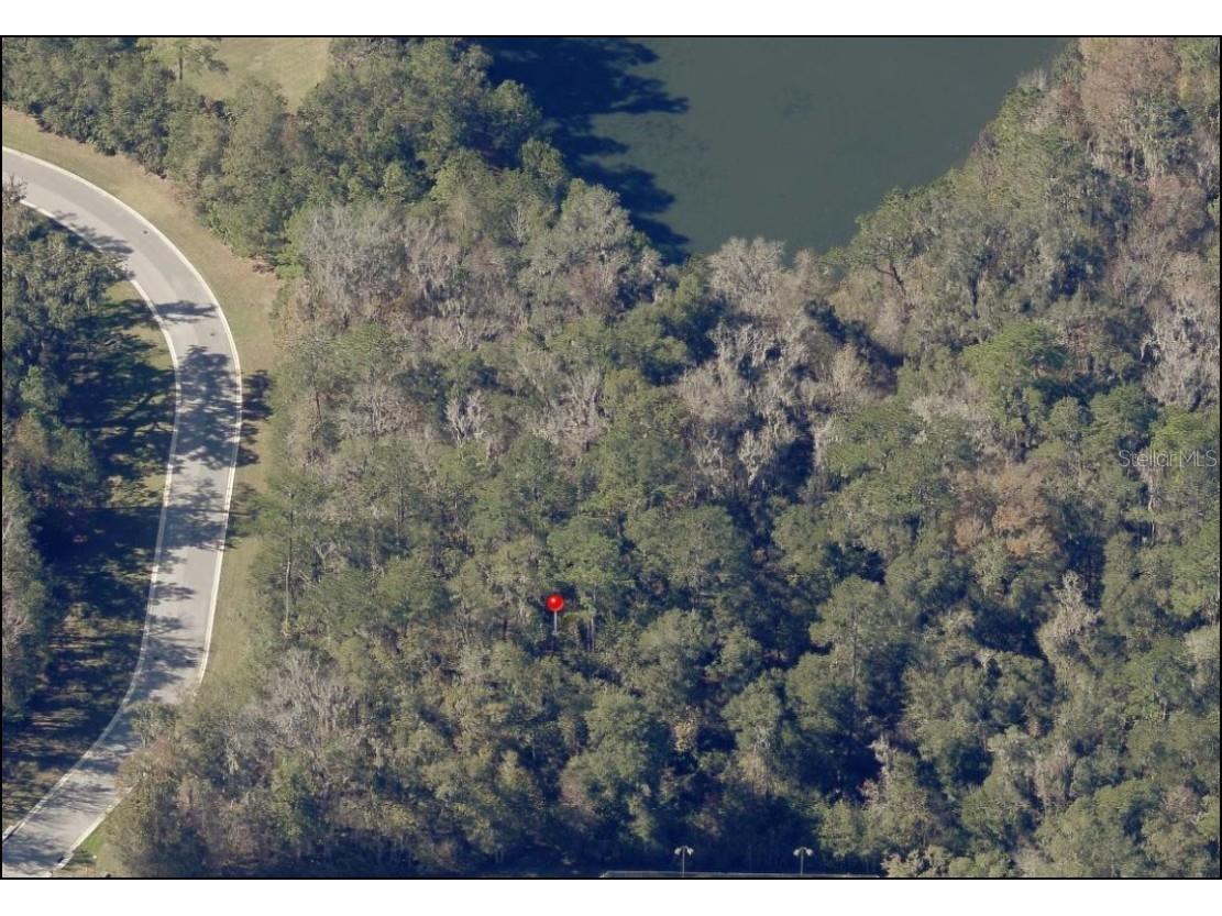 SE 47th Street Ocala FL 34480 OM712117 image4