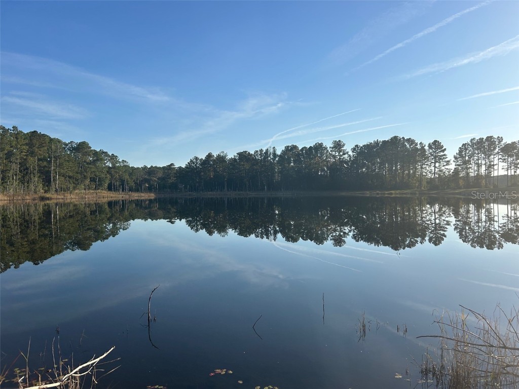 SE 49th Street Road Ocklawaha FL 32183 G5096960 image1