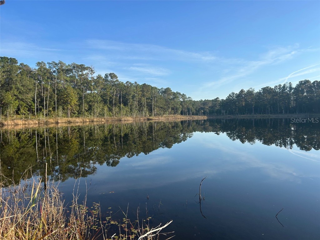 SE 49th Street Road Ocklawaha FL 32183 G5096960 image2