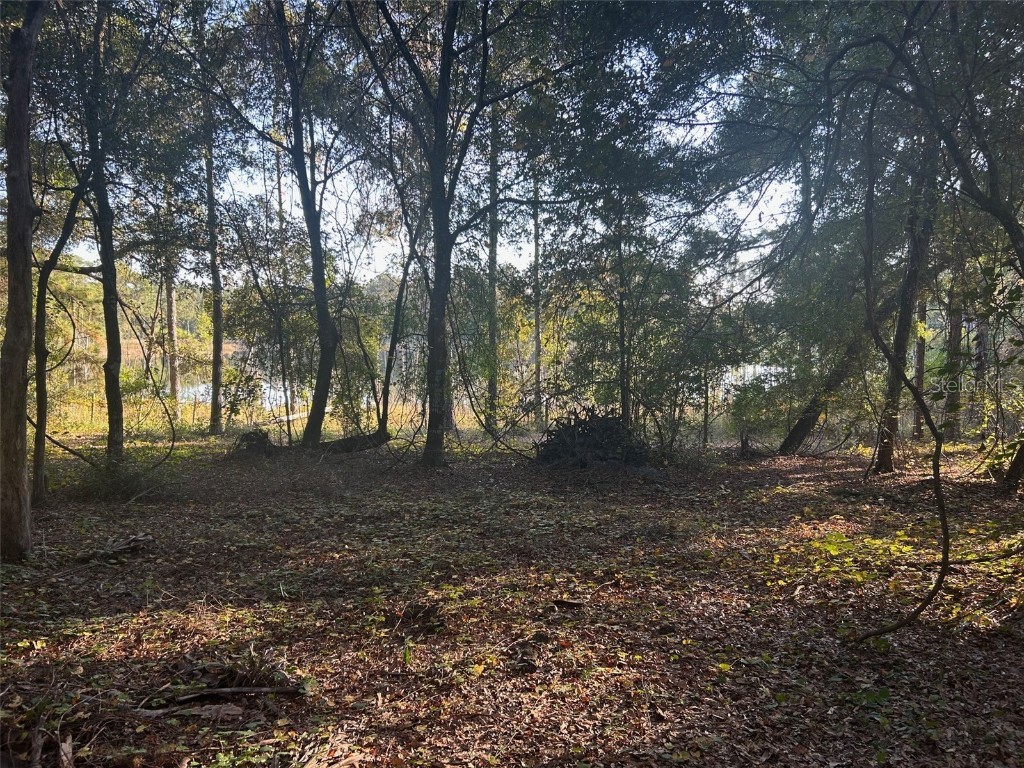 SE 49th Street Road Ocklawaha FL 32183 G5096960 image4