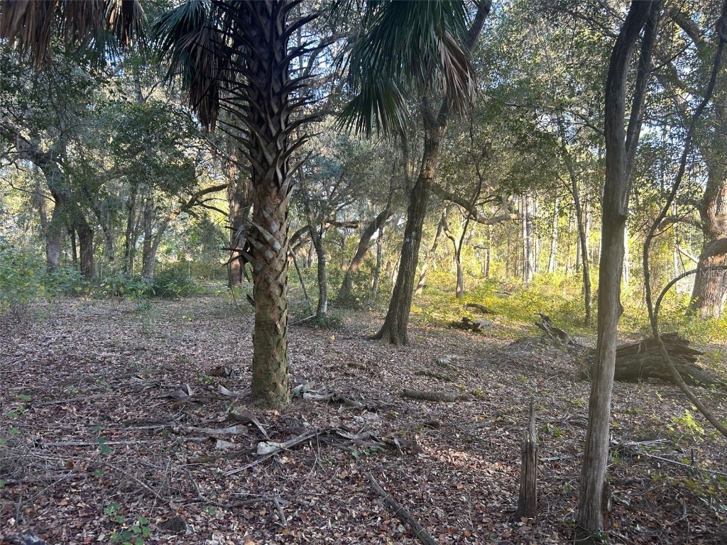 SE 49th Street Road Ocklawaha FL 32183 G5096960 image5