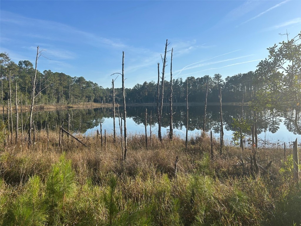 SE 49th Street Road Ocklawaha FL 32183 G5096960 image6