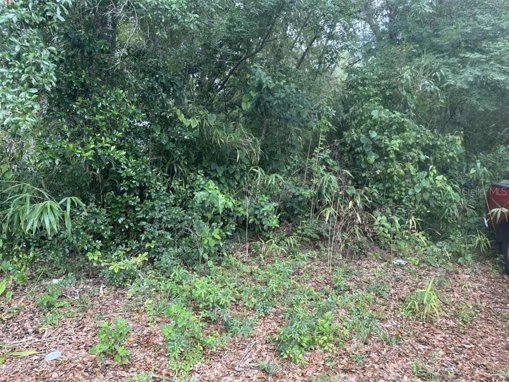 SE 4th Avenue Gainesville FL 32641 GC532561 image1