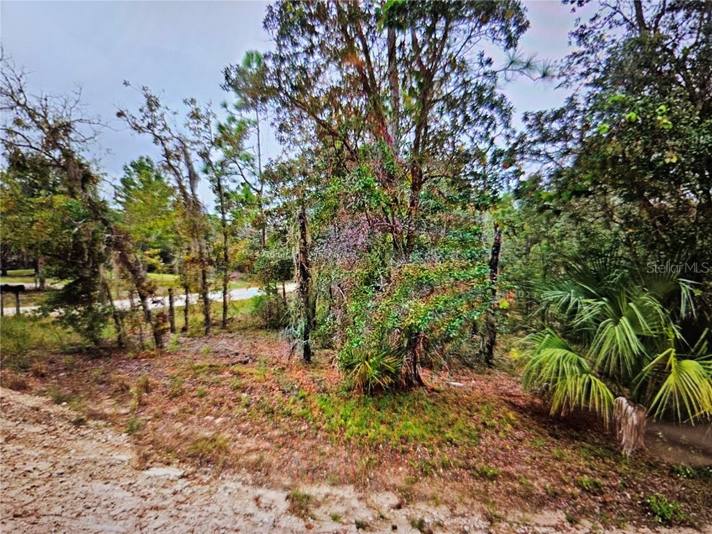 Se 4th St Williston FL 32696 TB8340649 image1