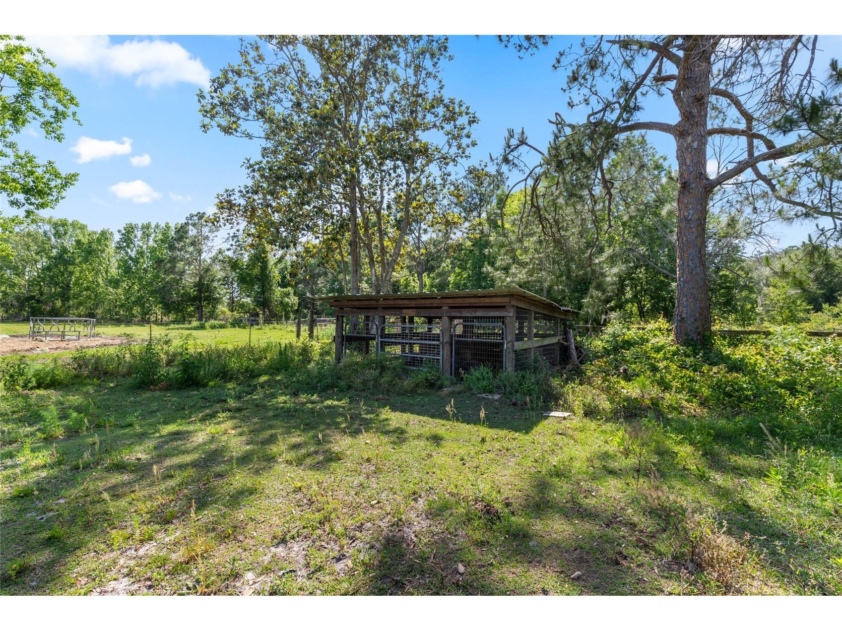 SE 51st Lane Center Hill FL 33514 G5108385 image10