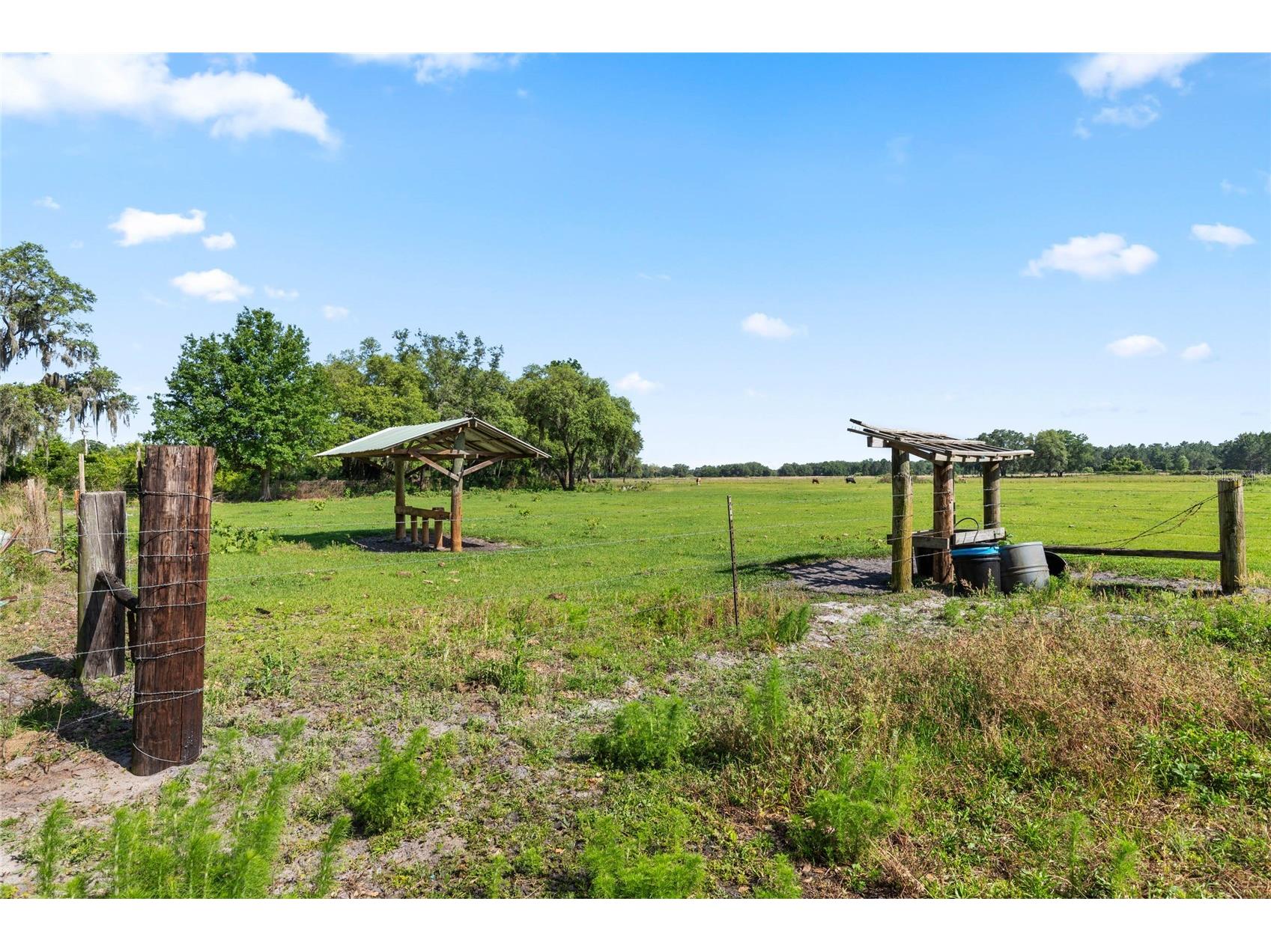 SE 51st Lane Center Hill FL 33514 G5108385 image11