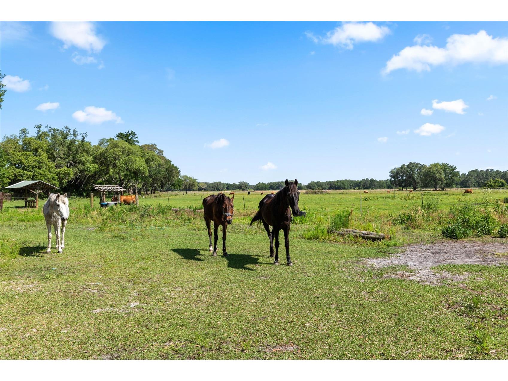 SE 51st Lane Center Hill FL 33514 G5108385 image21