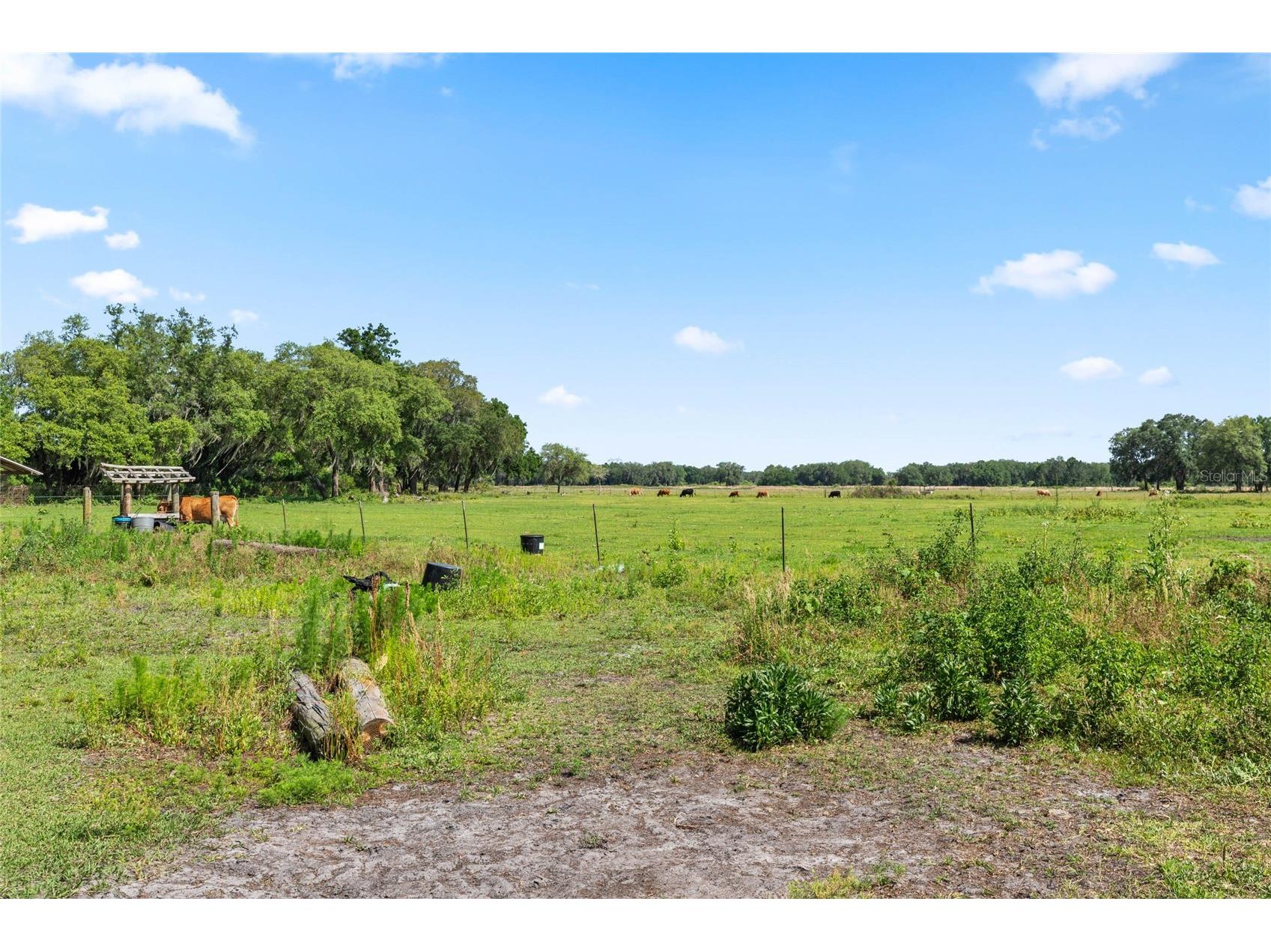 SE 51st Lane Center Hill FL 33514 G5108385 image22