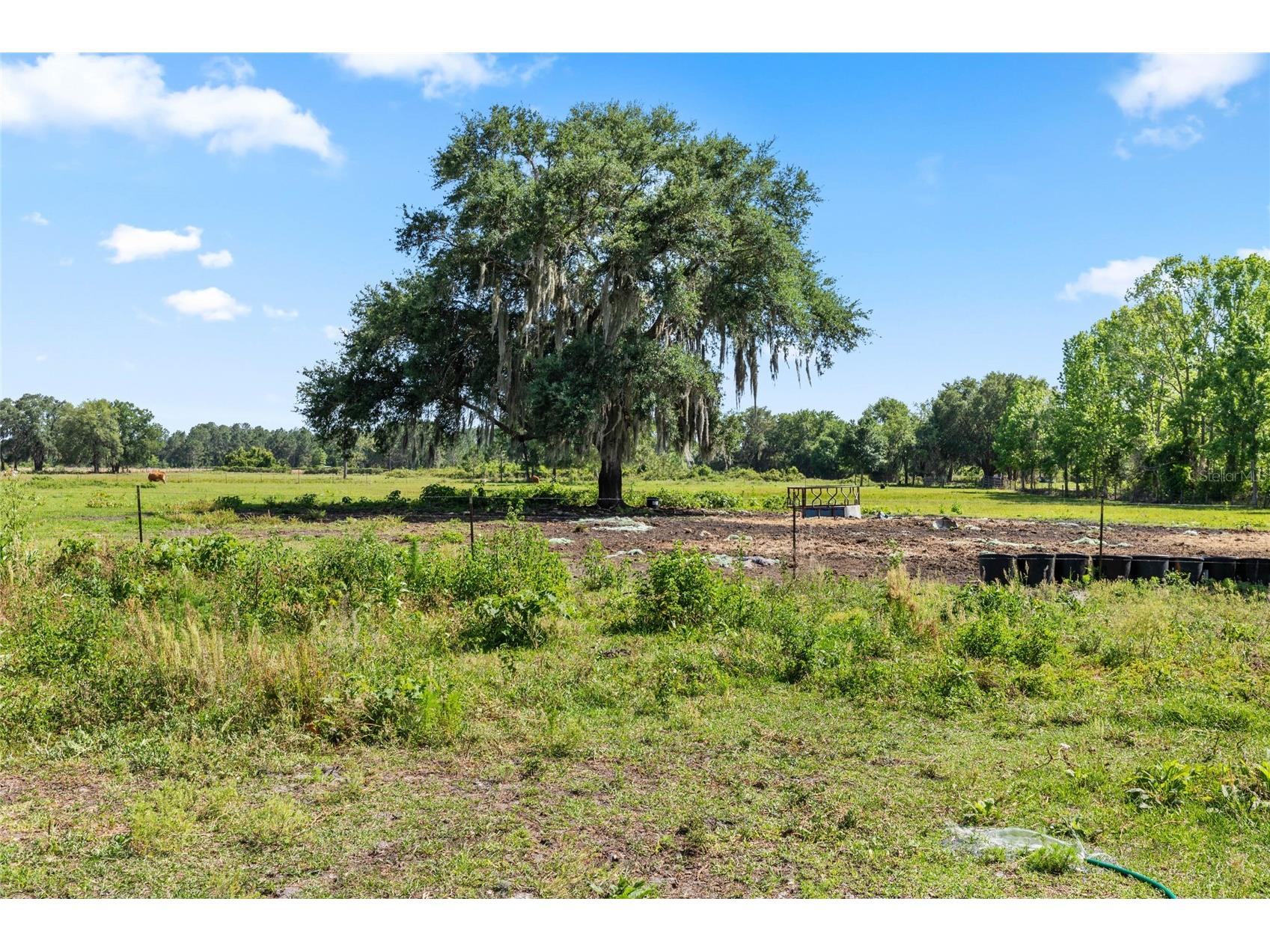 SE 51st Lane Center Hill FL 33514 G5108385 image23