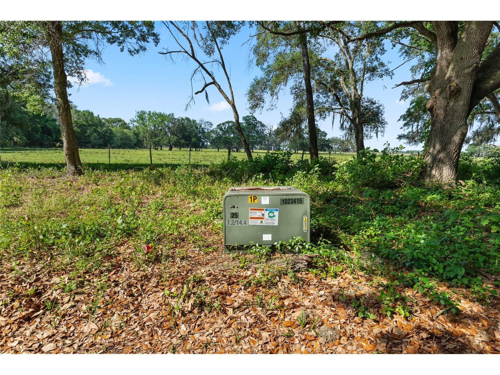 SE 51st Lane Center Hill FL 33514 G5108385 image4