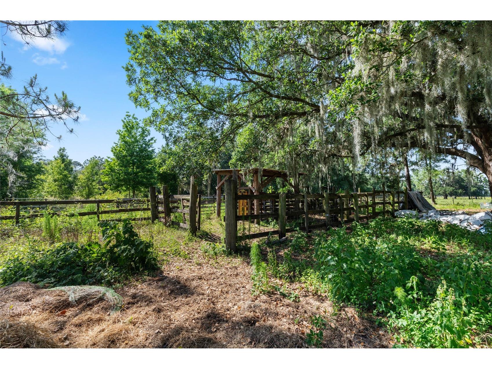 SE 51st Lane Center Hill FL 33514 G5108385 image9