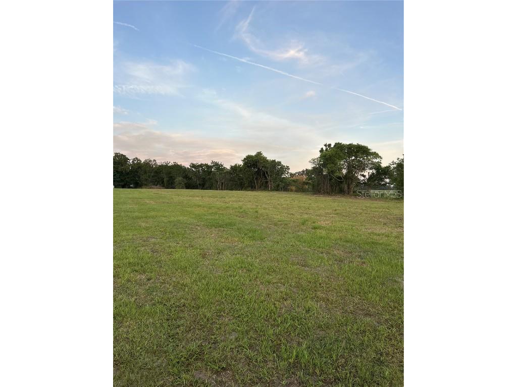 SE 52nd Court Summerfield FL 34491 S5127467 image1