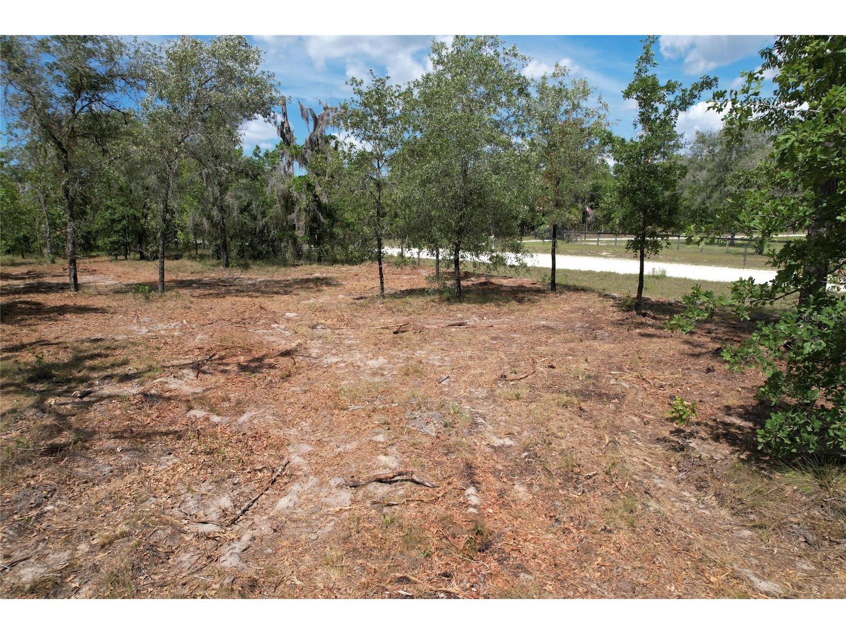 SE 53rd Lane Morriston FL 32668 O6410694 image1