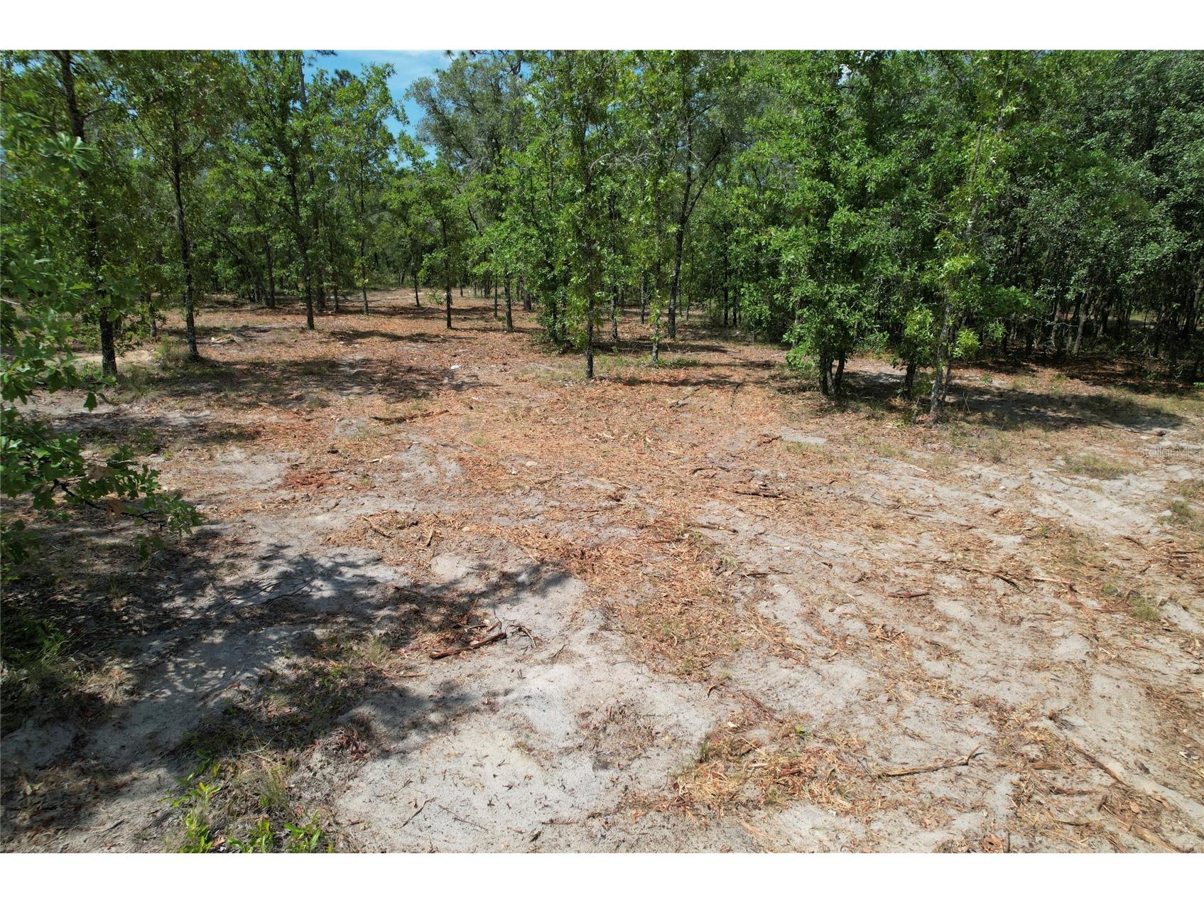 SE 53rd Lane Morriston FL 32668 O6410694 image2