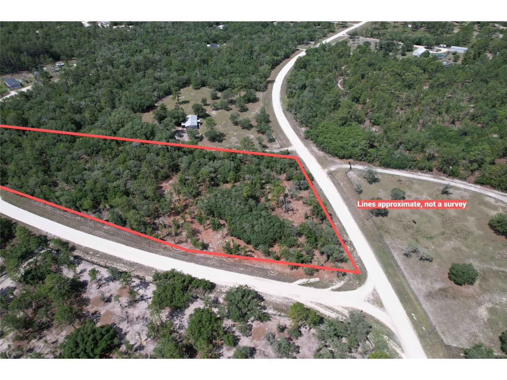 SE 53rd Lane Morriston FL 32668 O6410694 image3