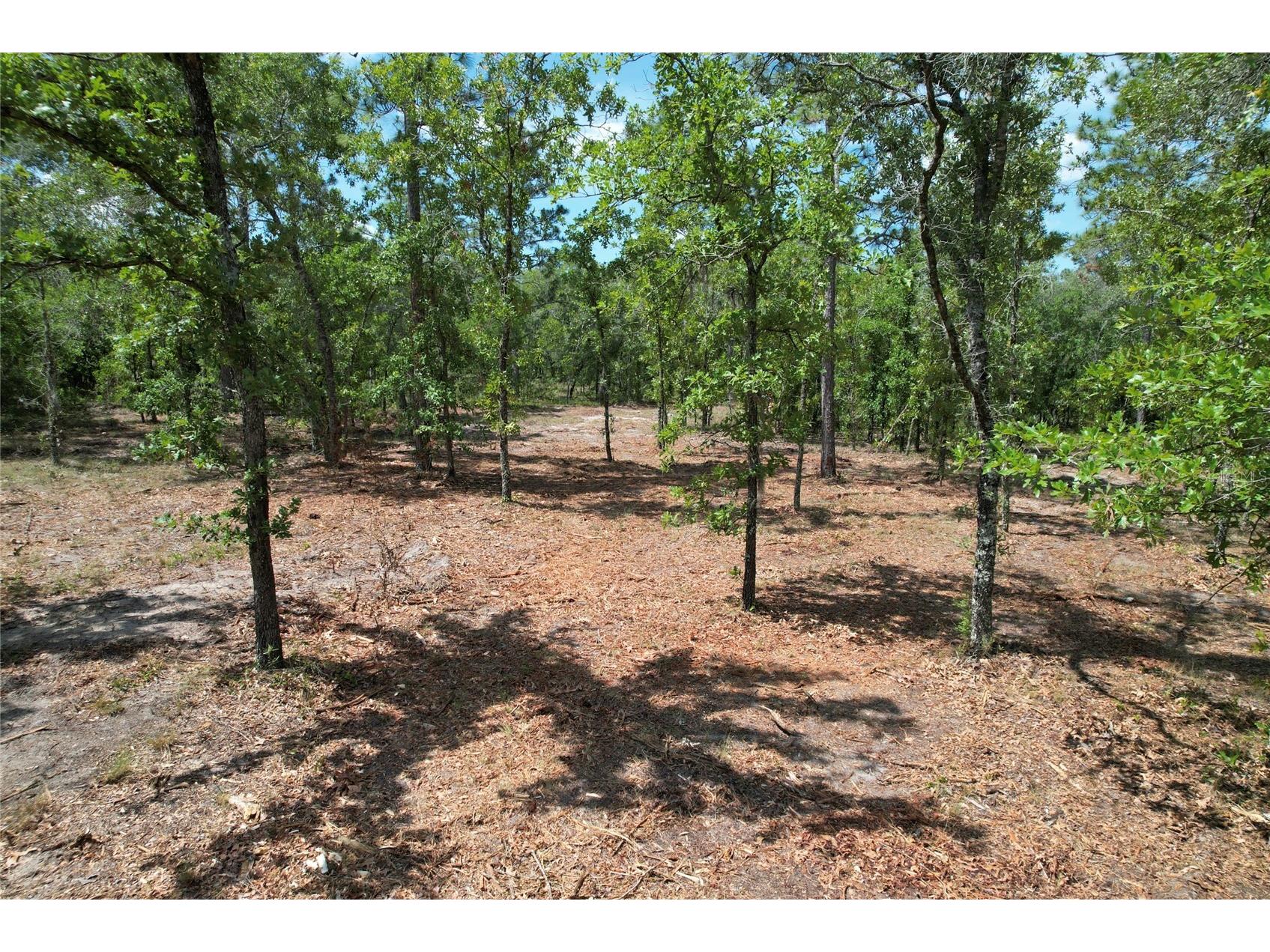SE 53rd Lane Morriston FL 32668 O6410694 image4