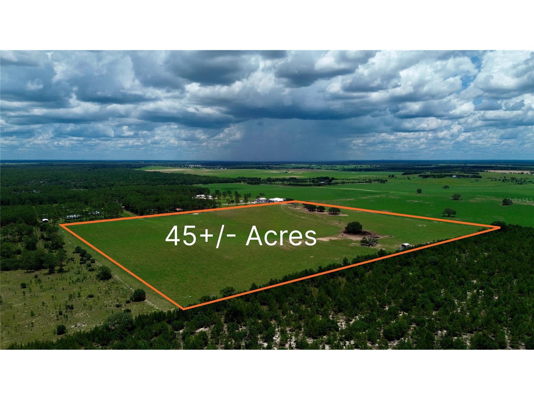 SE 54th Street Morriston FL 32668 OM726256 image1