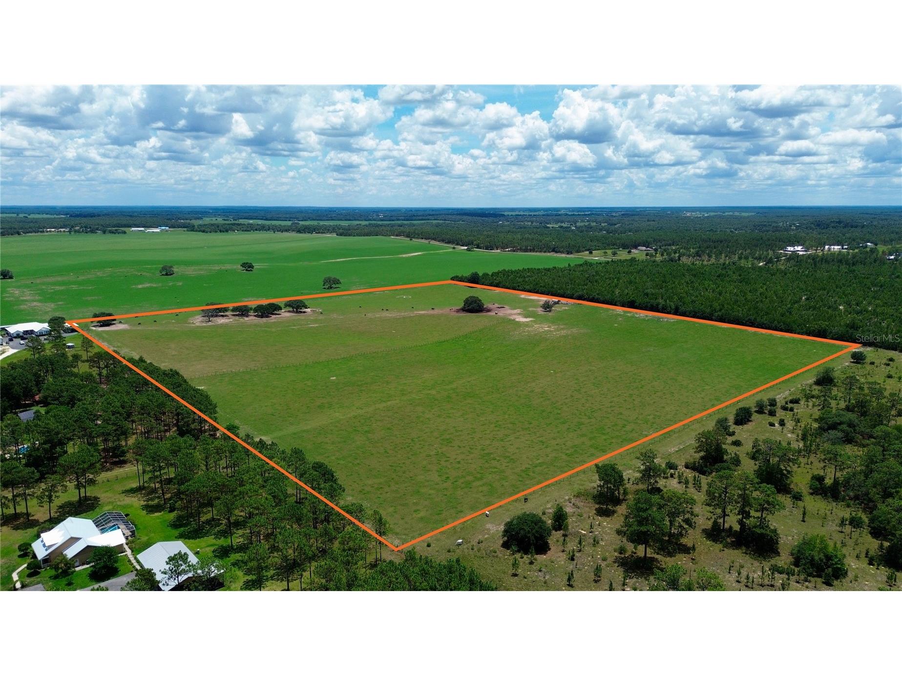 SE 54th Street Morriston FL 32668 OM726256 image3