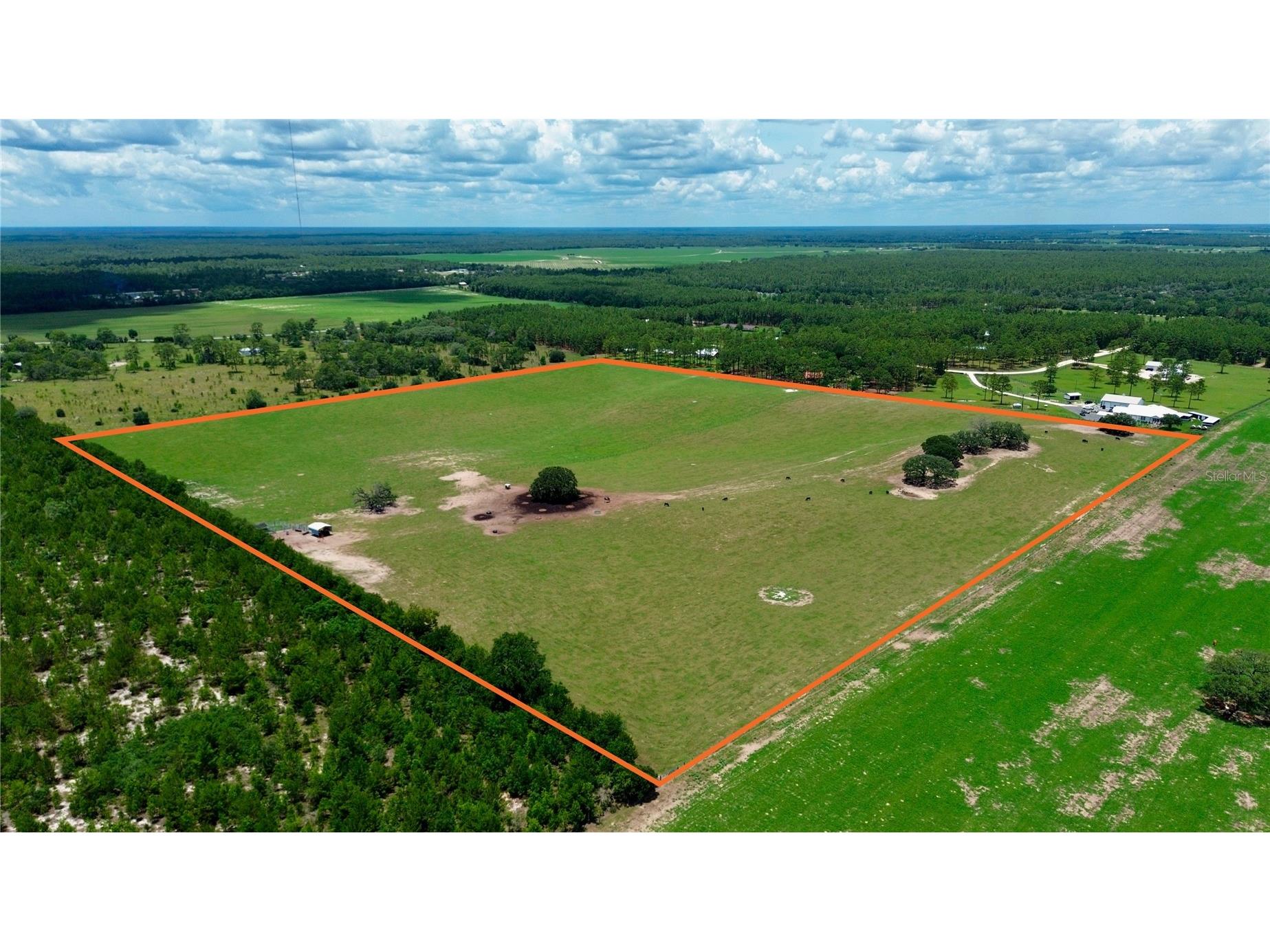 SE 54th Street Morriston FL 32668 OM726256 image5