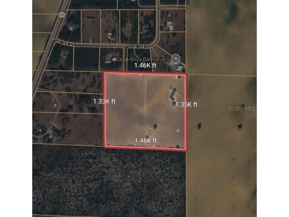 SE 54th Street Morriston FL 32668 OM726256 image6