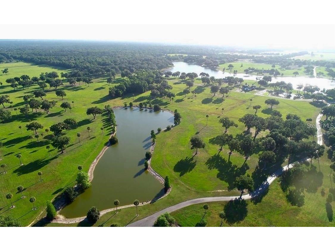 SE 57th Terrace #18 Summerfield FL 34491 OM720470 image1