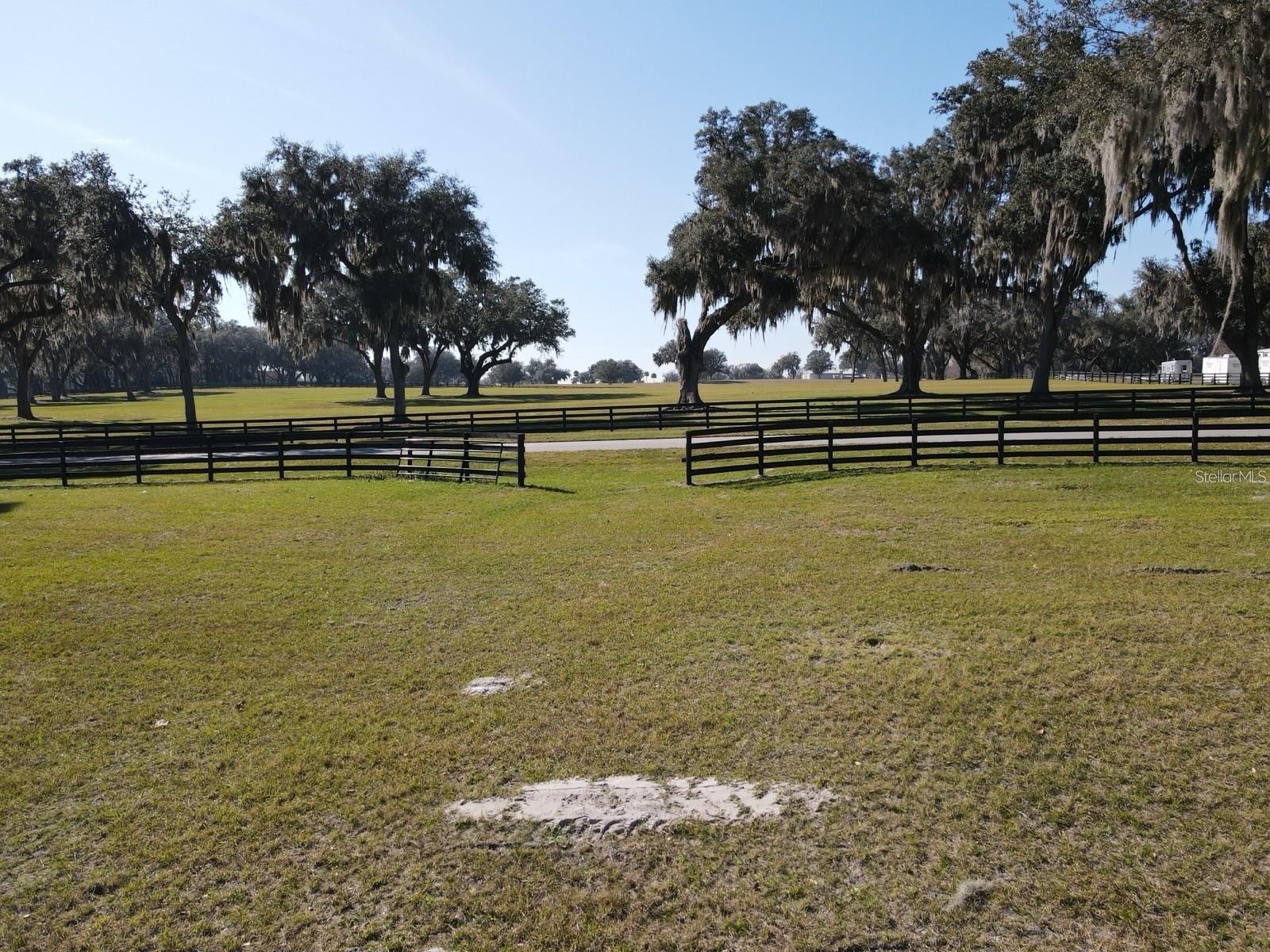 SE 57th Terrace #18 Summerfield FL 34491 OM720470 image17