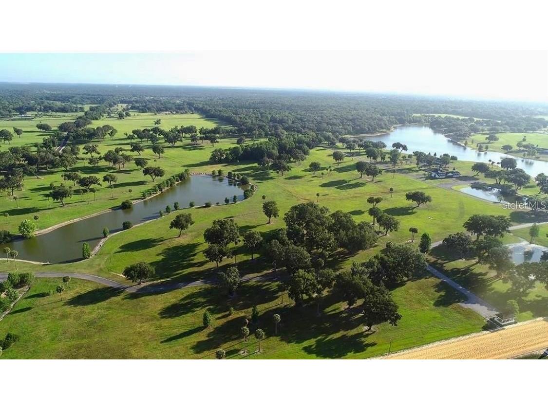 SE 57th Terrace #18 Summerfield FL 34491 OM720470 image4