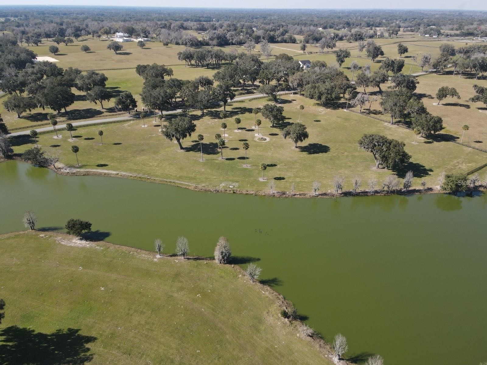 SE 57th Terrace #18 Summerfield FL 34491 OM720470 image9