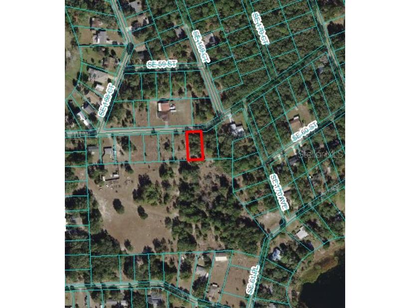 SE 59 Place Ocklawaha FL 32179 OM676317 image1