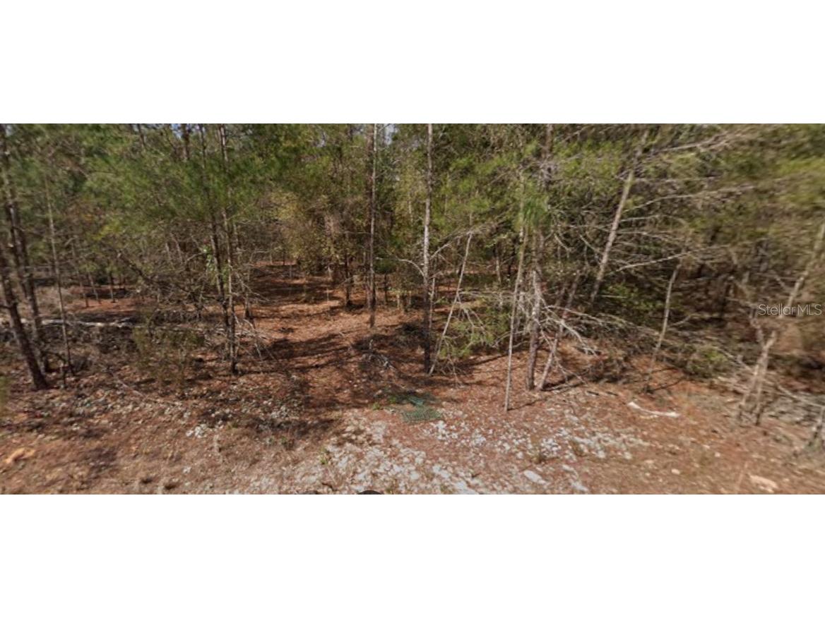 Se 5th Avenue Interlachen FL 32148 O6358285 image1