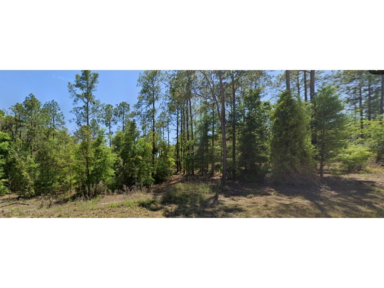 Se 5th Place Williston FL 32696 O6344797 image1