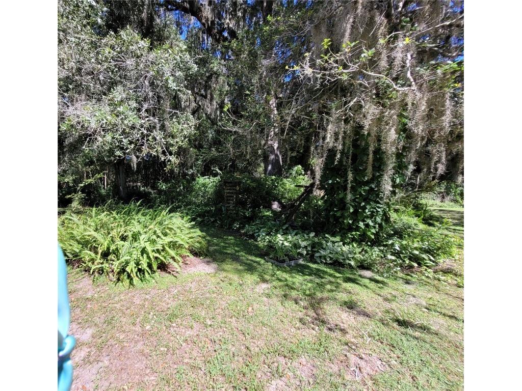 SE 60th Avenue Belleview FL 34420 V4927507 image1