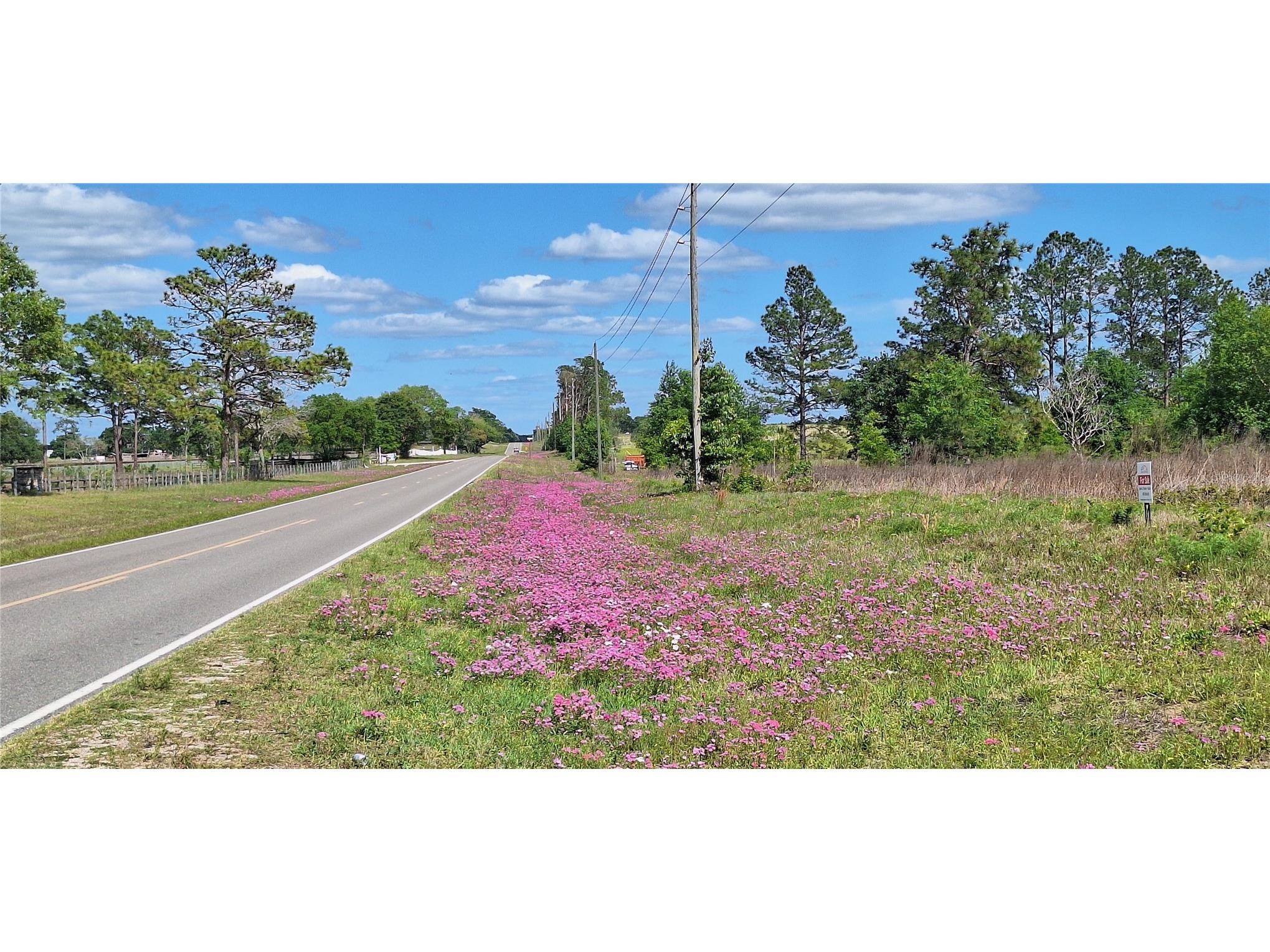 Se 60th Street Morriston FL 32668 O6398392 image1