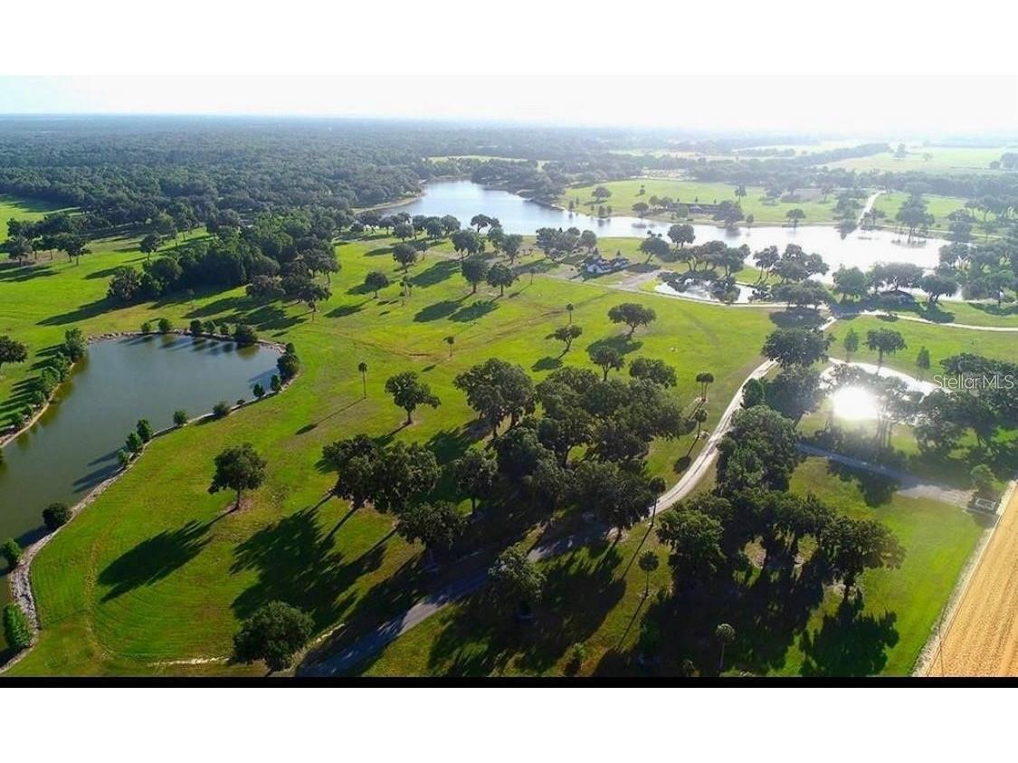 SE 61st Terrace Road #15 Summerfield FL 34491 OM720468 image2