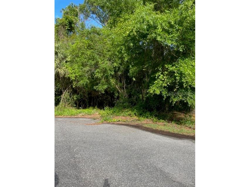 SE 64th Place Hawthorne FL 32640 GC504228 image1