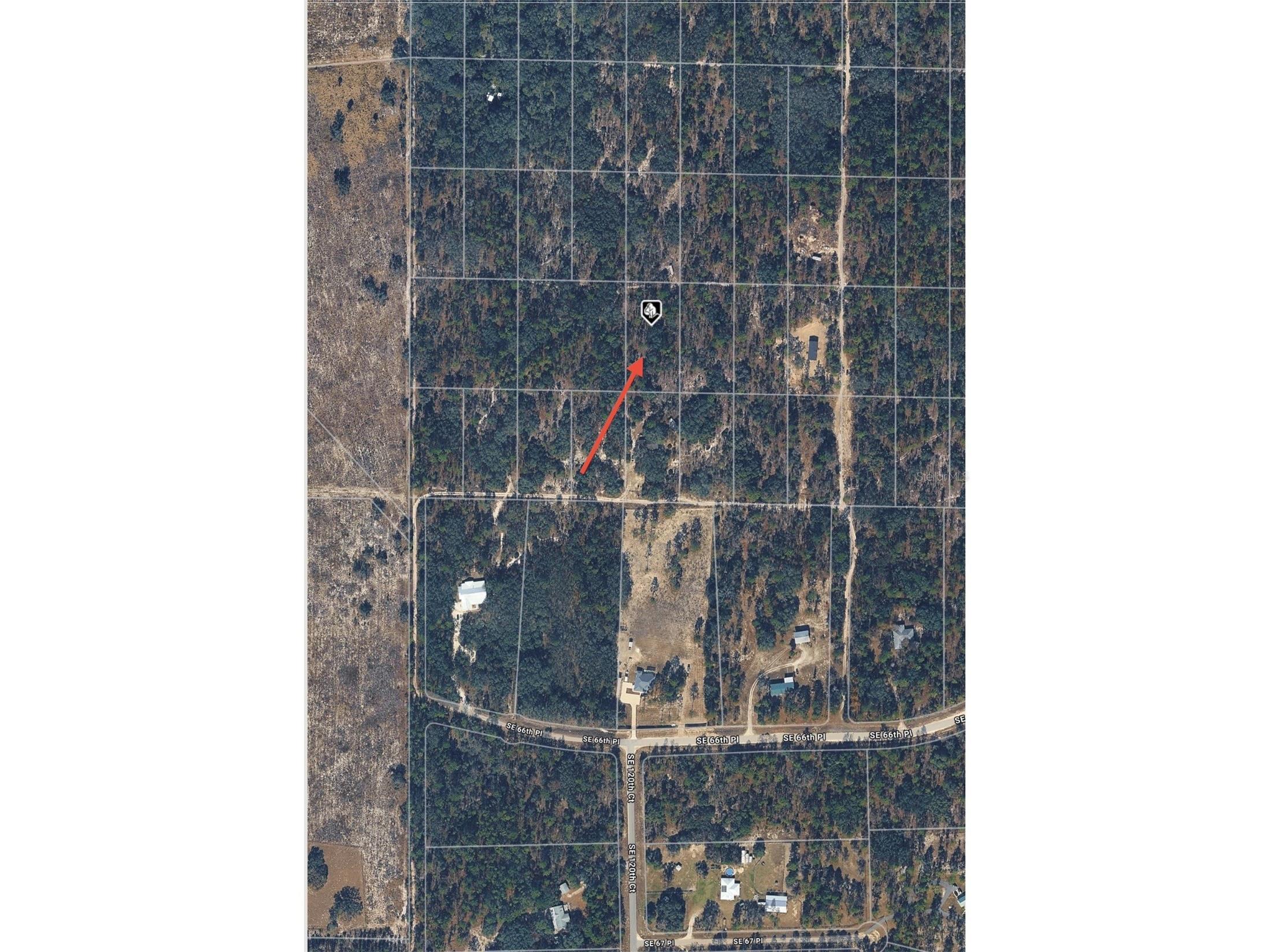 SE 64th Place Morriston FL 32668 O6404312 image2