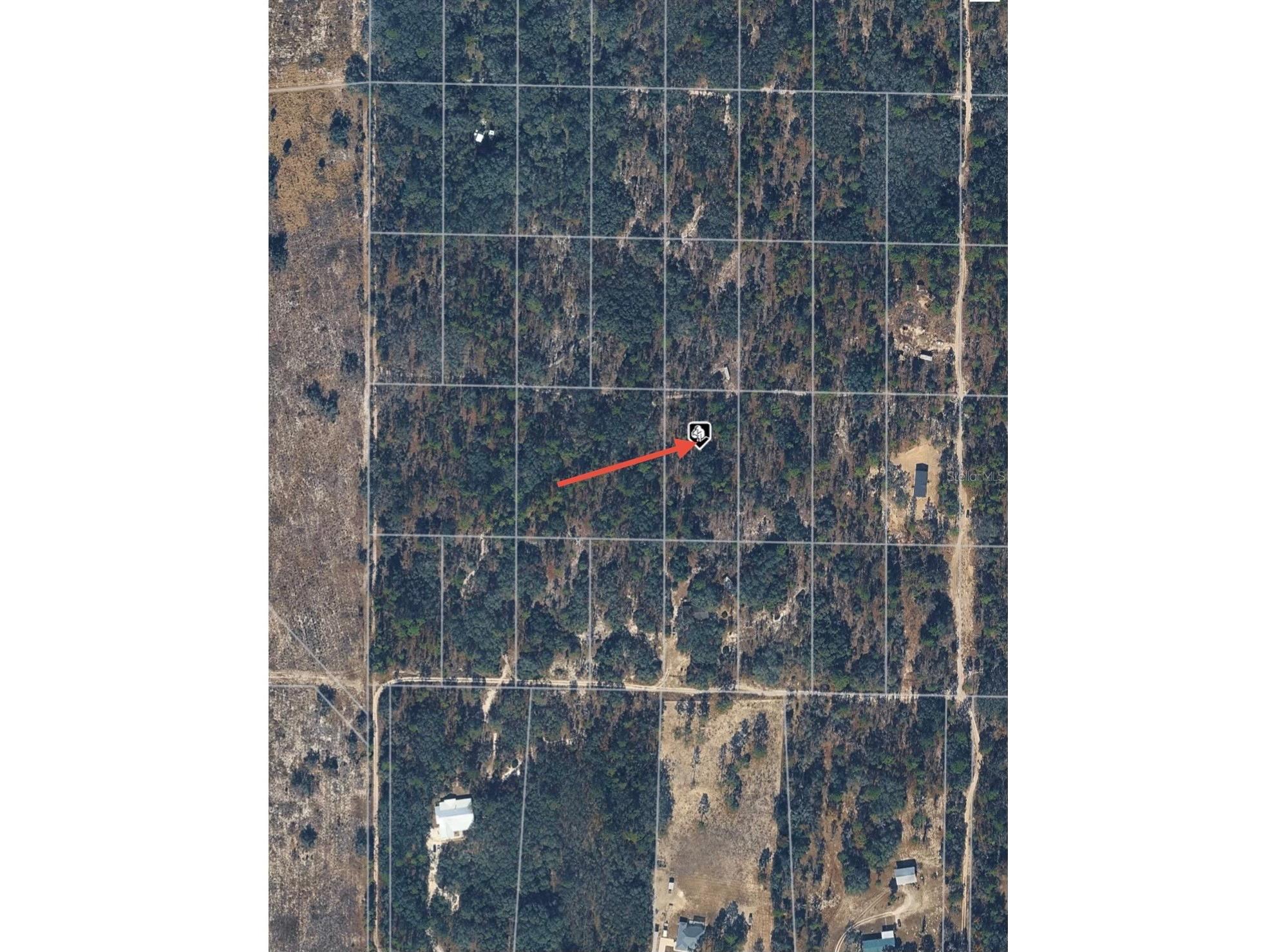 SE 64th Place Morriston FL 32668 O6404312 image3