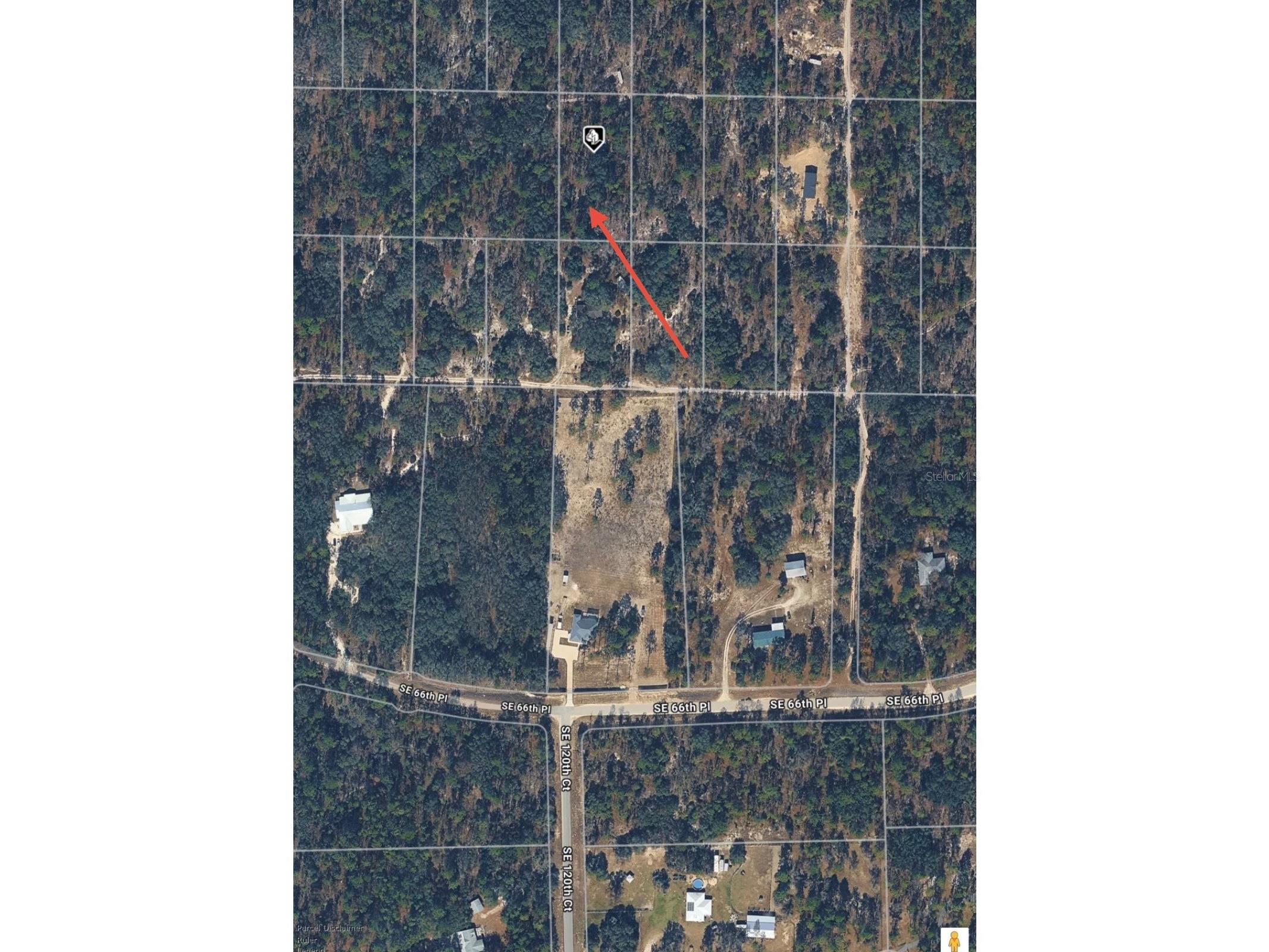 SE 64th Place Morriston FL 32668 O6404312 image4