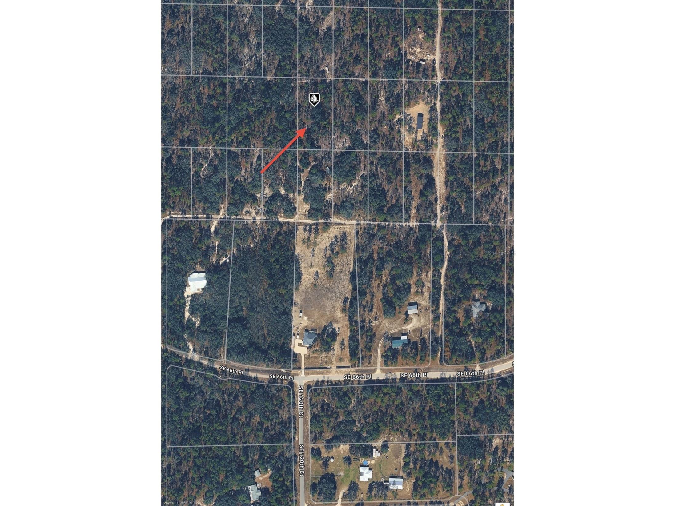 SE 64th Place Morriston FL 32668 O6404312 image5