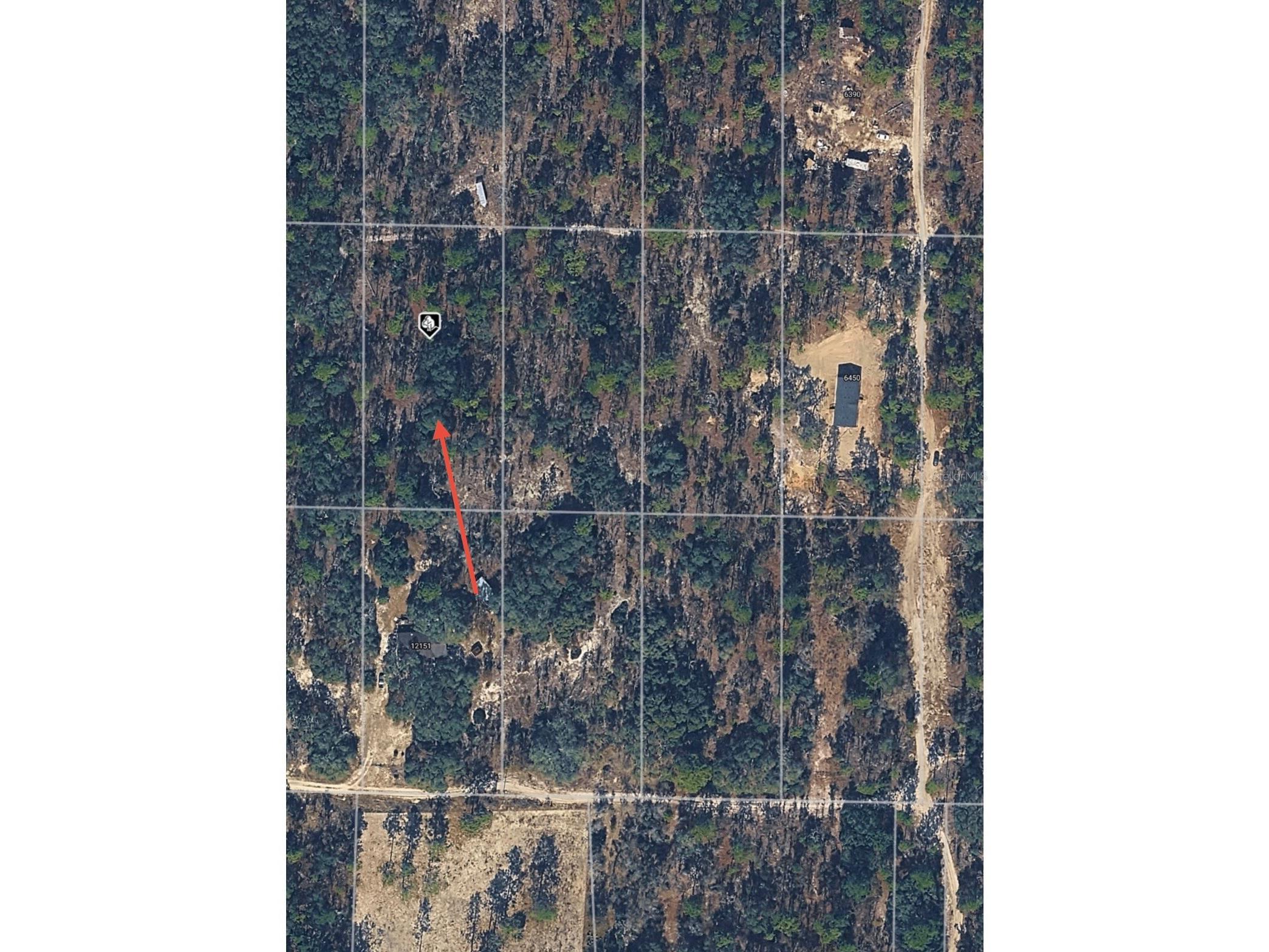 SE 64th Place Morriston FL 32668 O6404312 image6